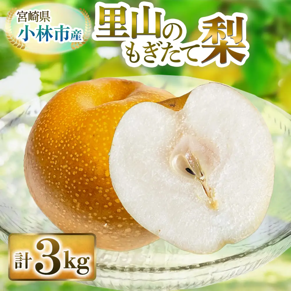 梨 【産直もぎたて】里山のもぎたて梨　計3kg