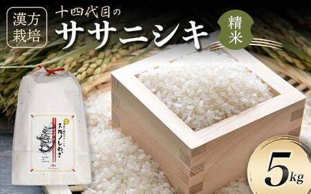 ＜有機JAS認定の漢方活性材で育みました＞【令和8年産米先行予約】漢方栽培ササニシキ 5kg 米 お米 おこめ 山形県 新庄市 F3S-2856
