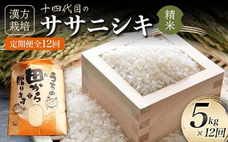 定期便 漢方栽培 十四代目のササニシキ 5kg×12回 米 お米 おこめ 山形県 新庄市 F3S-2176