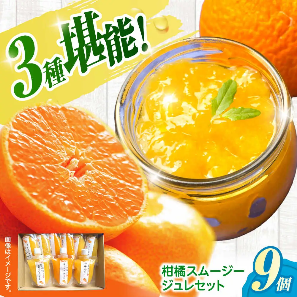 柑橘スムージージュレセット(9個入り) / スムージー ジュレ ゼリー 柑橘 / 諫早市 / 圭昭園 [AHAZ005] 