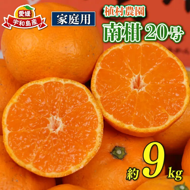 温州みかん南柑20号9kg家庭用植村農園温州みかん温州みかん温州みかん温州みかんB010-153004