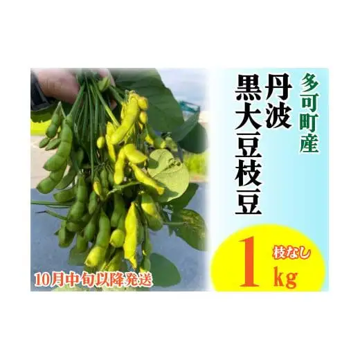旬の味！丹波黒枝豆（枝なし）１kg[912]