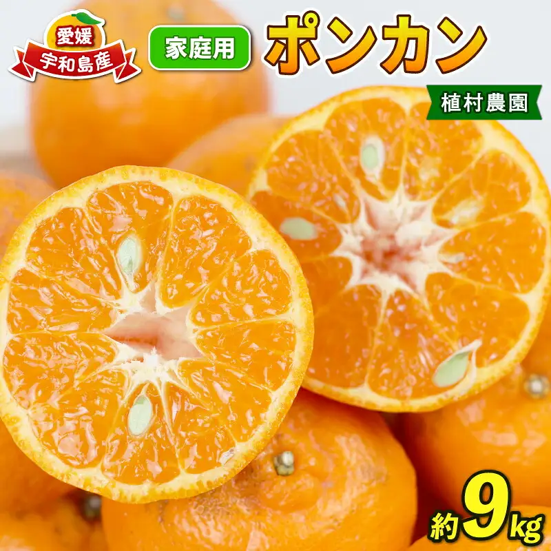 ポンカン 9kg みかん 家庭用 植村農園 ﾎﾟﾝｶﾝ ﾎﾟﾝｶﾝ ﾎﾟﾝｶﾝ B010-153005