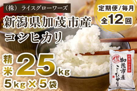 【令和8年産新米先行予約】【定期便12ヶ月毎月お届け】新潟県加茂市産コシヒカリ 精米25kg（5kg×5）《10月上旬～順次出荷》 白米 （株）ライスグローワーズ
