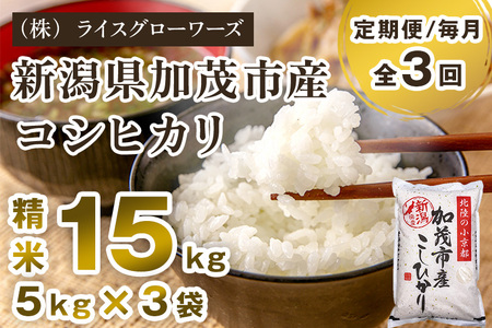 【令和8年産新米先行予約】【定期便3回毎月お届け】新潟県加茂市産コシヒカリ 精米15kg（5kg×3）《10月上旬～順次出荷》 白米 （株）ライスグローワーズ