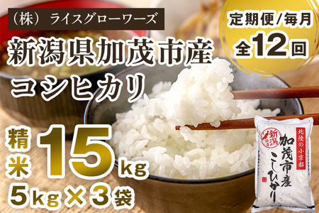 【令和8年産新米先行予約】【定期便12ヶ月毎月お届け】新潟県加茂市産コシヒカリ 精米15kg（5kg×3）《10月上旬～順次出荷》 白米 （株）ライスグローワーズ