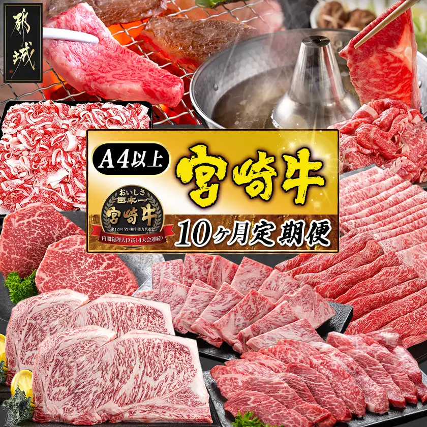 宮崎牛定期便(10ヶ月)〔T120（10）-0103〕_(都城市) 宮崎牛 A5 10ヶ月定期便 赤身 バラ ロース スライス 焼肉用 切り落とし サーロインステーキ