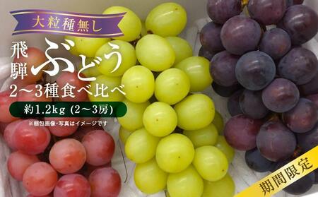 【先行予約 9月中旬～11月中旬発送】山本果樹園 季節の大粒種無しぶどう 詰め合わせ 約1.2kg（2房～3房）| 果物 フルーツ おいしい ぶどう 種なし 飛騨高山 山本果樹園 MA001
