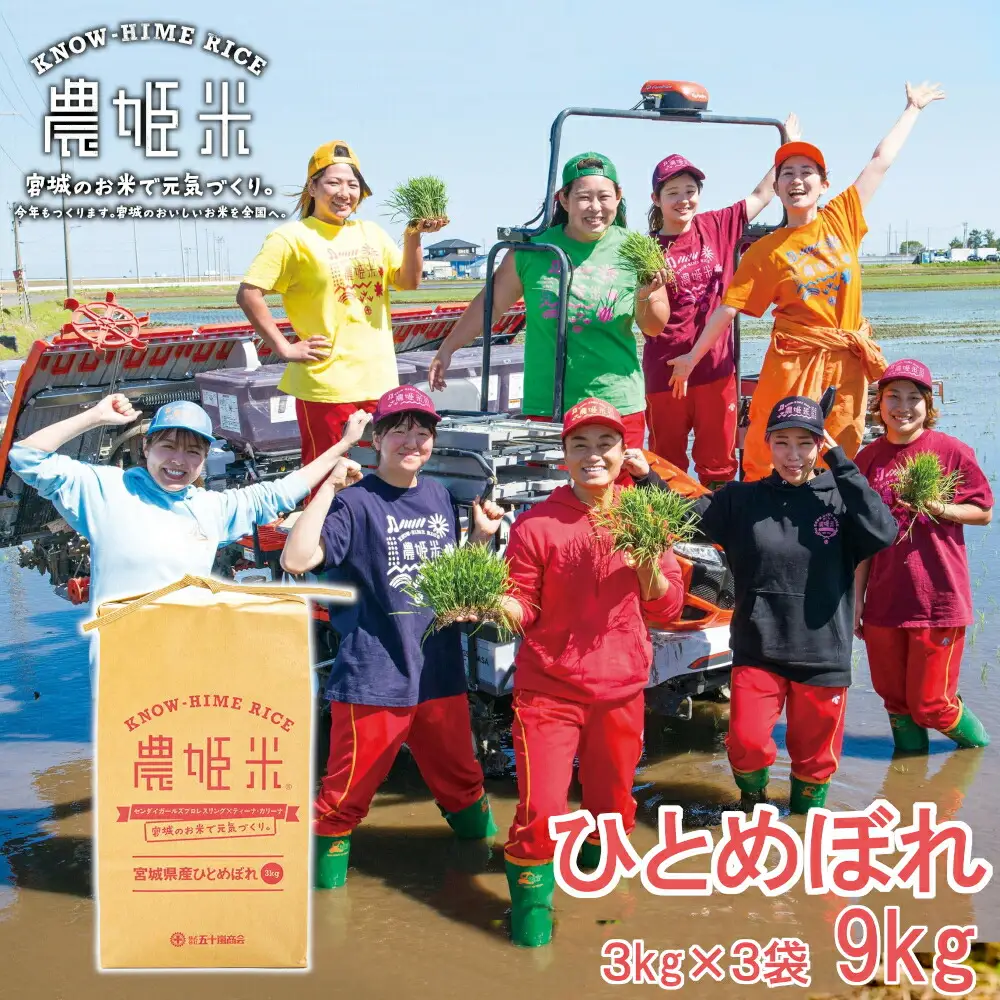 令和4年産農姫米(ひとめぼれ) 3kg×3袋／9kg お米 おこめ 米 コメ 白米 ご飯 ごはん おにぎり お弁当【株式会社五十嵐商会】ta211