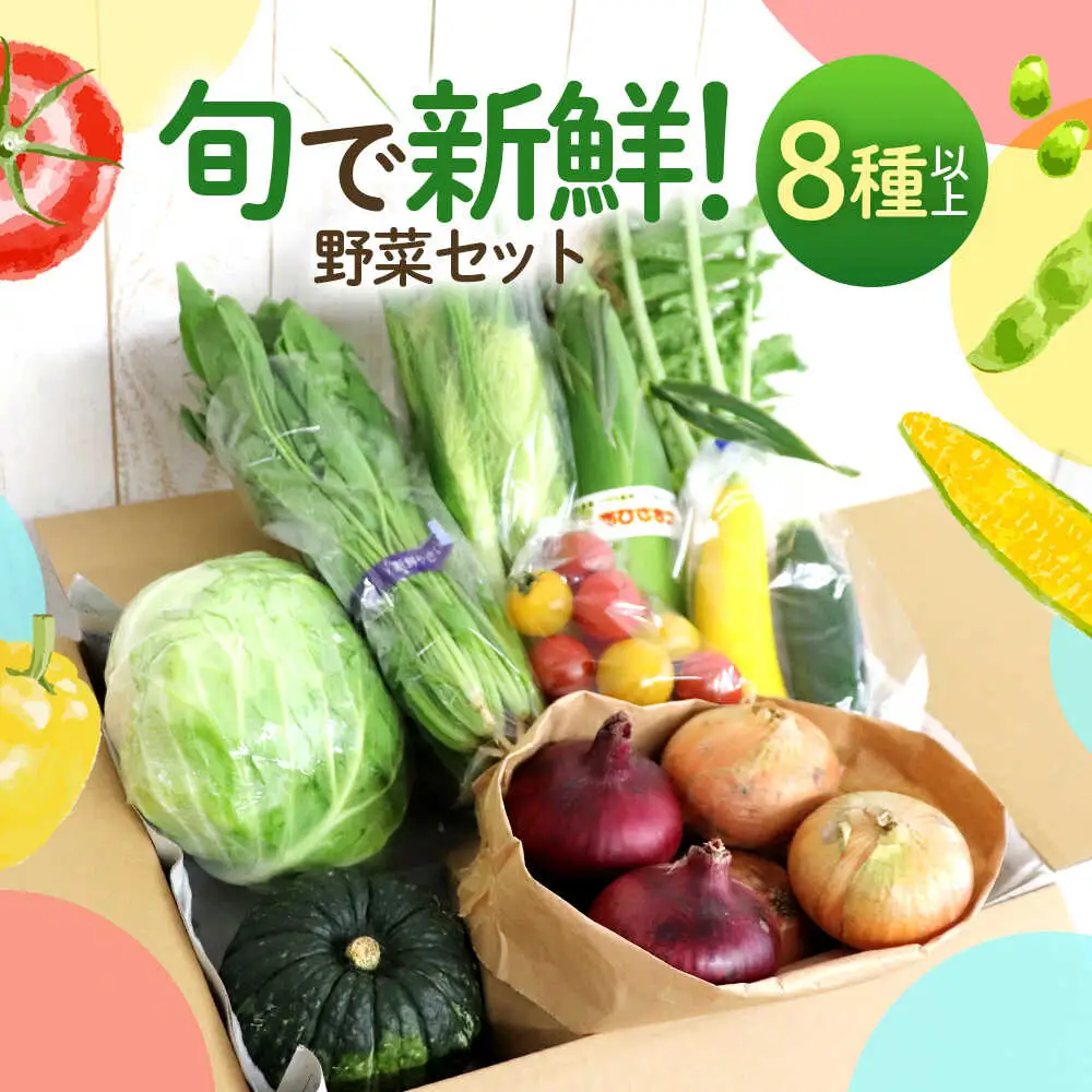鯖街道からお届けする季節の新鮮野菜セット 8種以上[A-023004] [BFAN006]