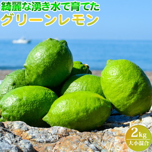【2026年先行予約】綺麗な湧き水で育てた グリーンレモン 2kg (大小混合)_EA6042n