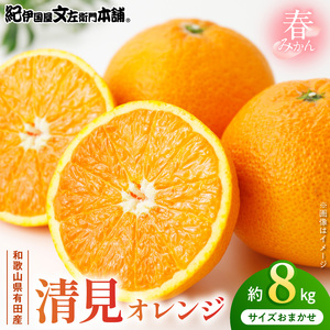 【2027年先行予約】清見オレンジ[約8kg]和歌山県有田産 春みかん (果実サイズおまかせ) 春みかん 紀伊国屋文左衛門本舗 ※日時指定不可_V7414