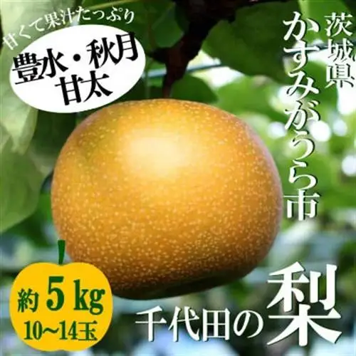 【2026年出荷受付】茨城県　千代田の梨(豊水・秋月・甘太いずれか)約5kg_梨 茨城県産 千代田 豊水 秋月_【1329113】