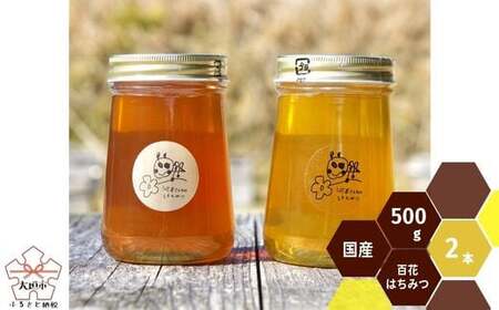 河本さんちの はちみつ 2種類の百花蜂蜜 500g×2本｜はちみつ