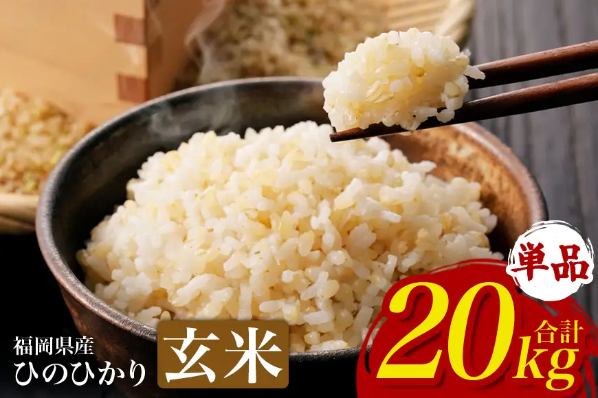 【ふるさと納税】ひのひかり 米 お米 玄米 20kg 20キロ 福岡県産 うきは市 国産 精米 ご飯 ごはん おにぎり お弁当 人気 おすすめ 家庭用 送料無料 新米 ストック 厳選 農家直送 大容量【JA福岡くるめ にじの耳納の里】