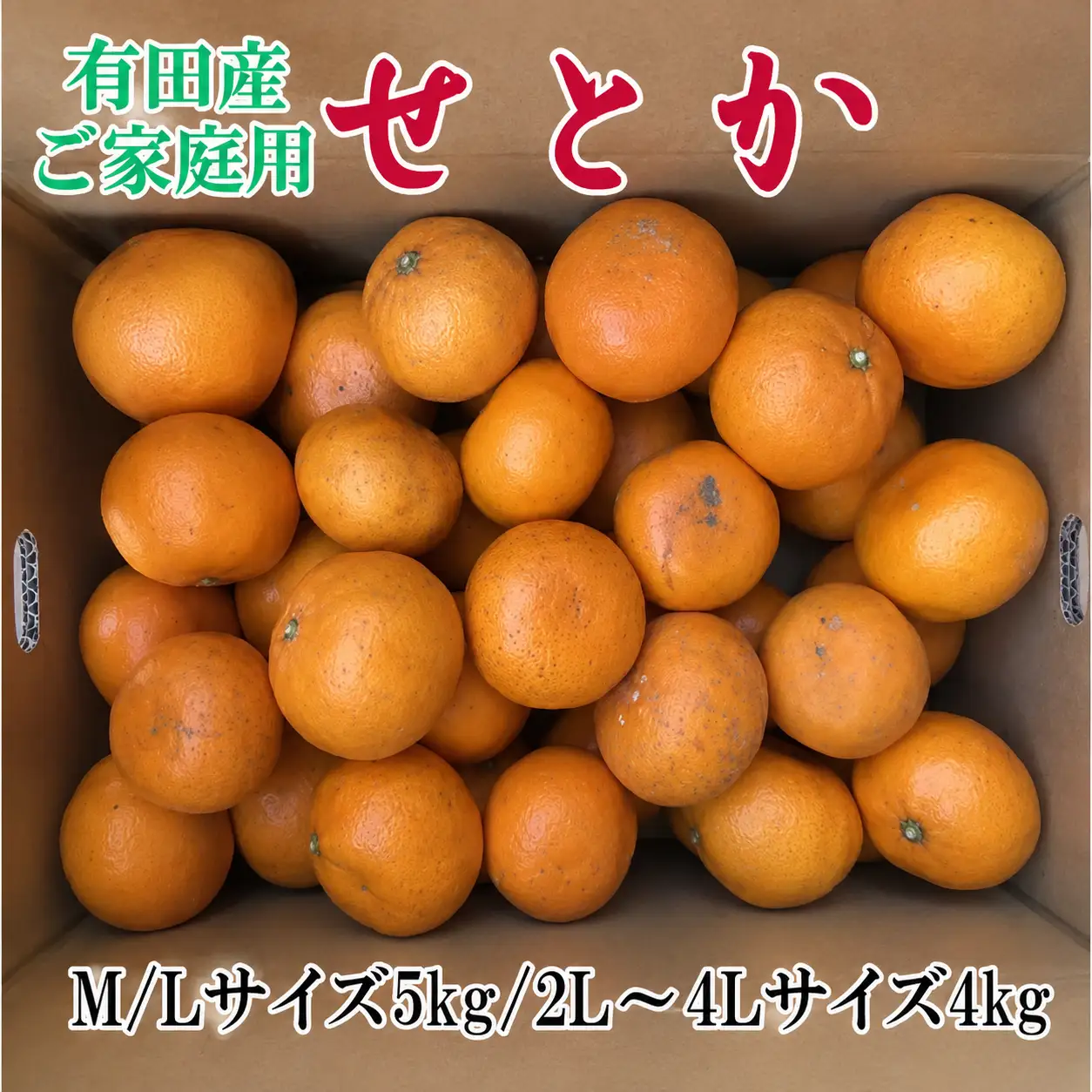 【訳あり・ご家庭用】一度は食べていただきたい「有田産のせとか」約4kg～5kg【2027年2月中旬～2027年3月中旬頃順次発送】【TM92093-tecj1032】