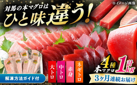 【全3回定期便】対馬産 本マグロ 4種 計1kg（赤身/中トロ/大トロ/ネギトロ）[WAH006] まぐろ トロ 刺身