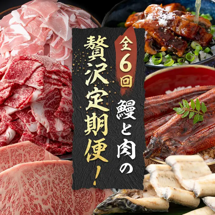 【定期便全6回】鰻と肉の贅沢定期便！鰻とお肉が交互に届くお楽しみ便 定期便 牛肉 ステーキ 鰻 豚肉 t0100-029