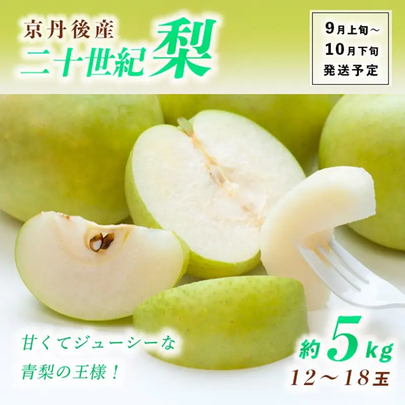 梨／【先行予約】甘～ぃ！ジューシー！！青梨の王様 京丹後産 二十世紀梨5kg（12～18玉）（2026年9月上旬～発送） 梨 梨 梨 梨 梨