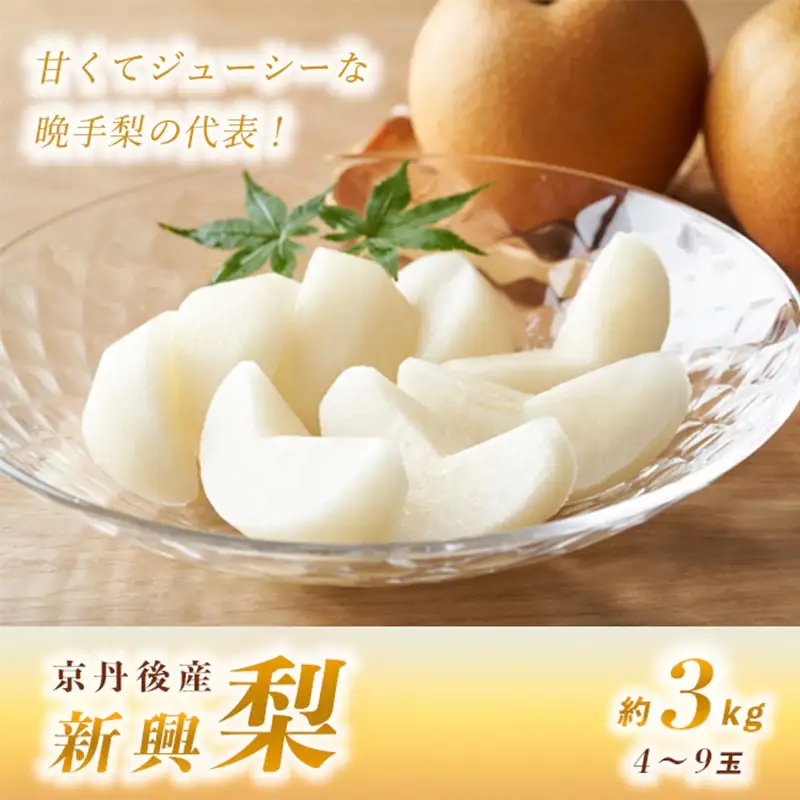 【先行予約】甘～ぃ！ジューシー！！晩生梨の代表 京丹後産 新興梨 3kg（4～9玉）（2026年9月下旬～発送）