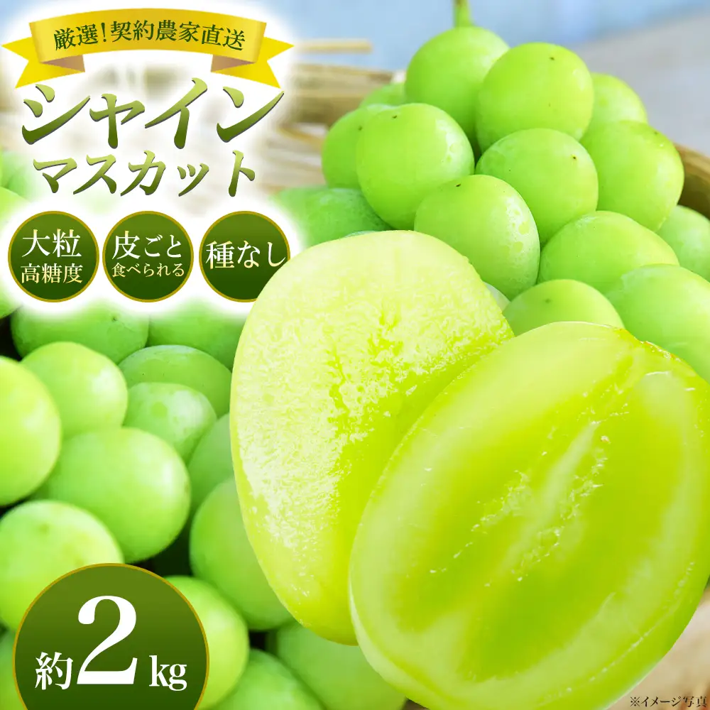 【令和8年9月頃発送】厳選　契約農家　シャインマスカット　約2kg　桑折町振興公社　ぶどう　【07301-0204】