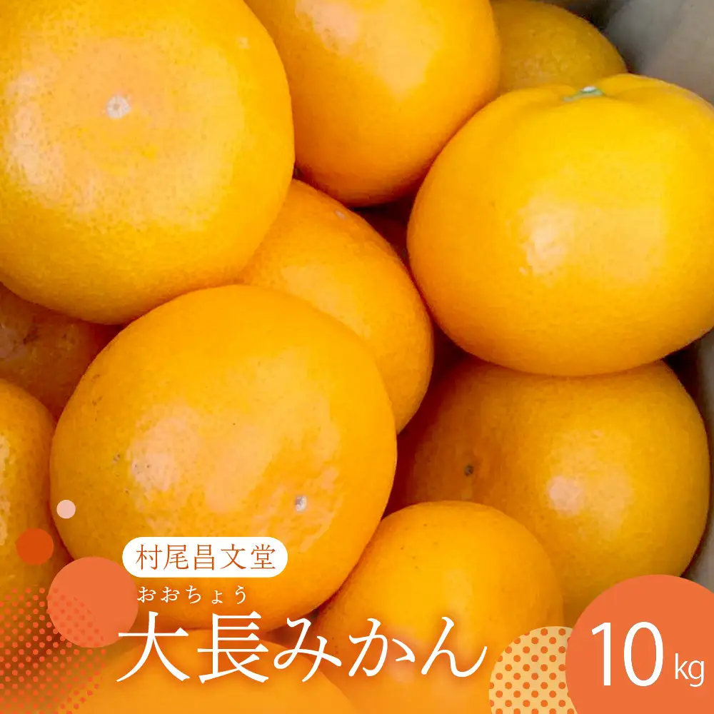 【先行受付】【2026年12月上旬～発送】広島県産 呉 大長みかん 10kg ku012-012-26