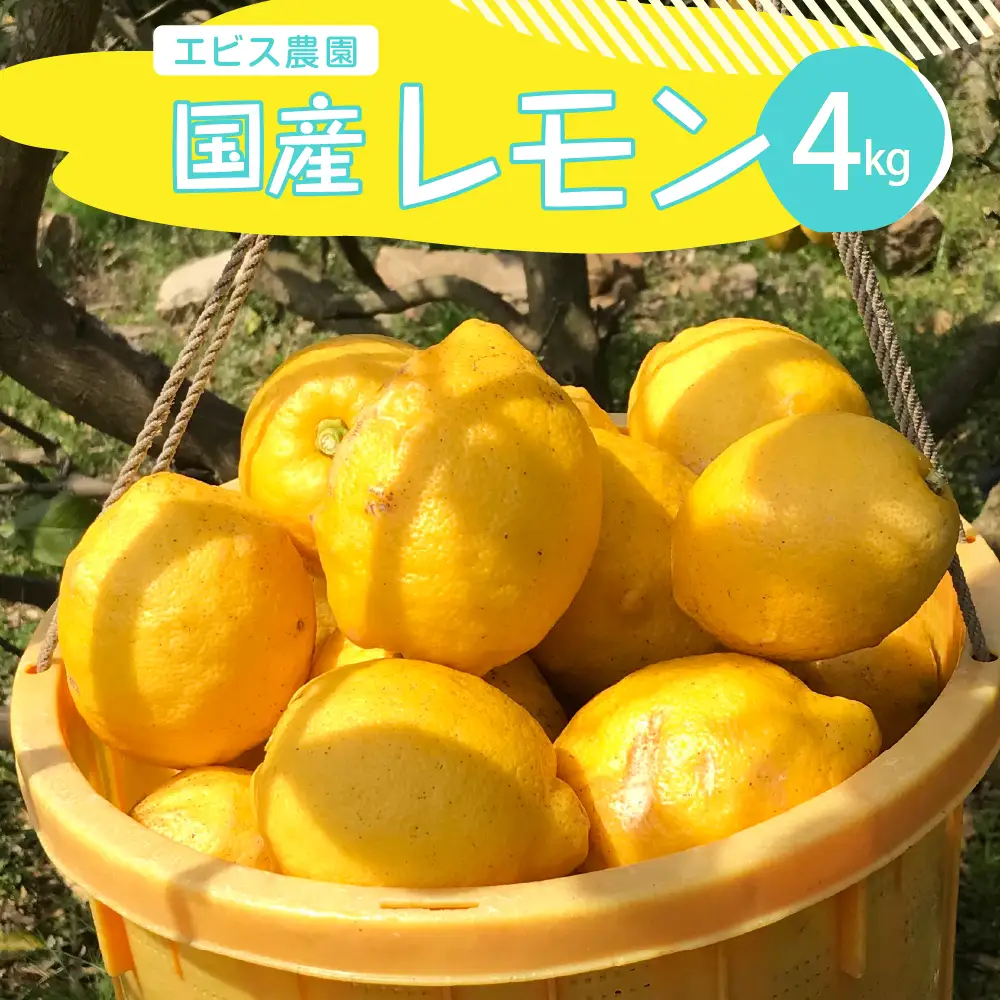 【先行受付】【2026年11月上旬～発送】【栽培期間中農薬不使用】有機JAS認証 皮まで美味しい！希少な国産オーガニックレモン 約4kg ku026-002-26