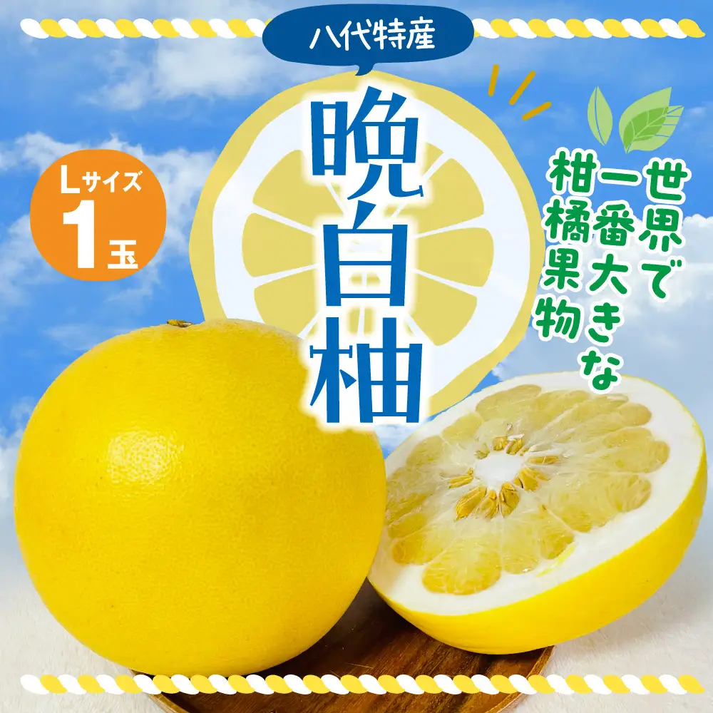 【先行予約】 晩白柚 Lサイズ 1玉 ばんぺいゆ 【2026年12月上旬より順次発送】