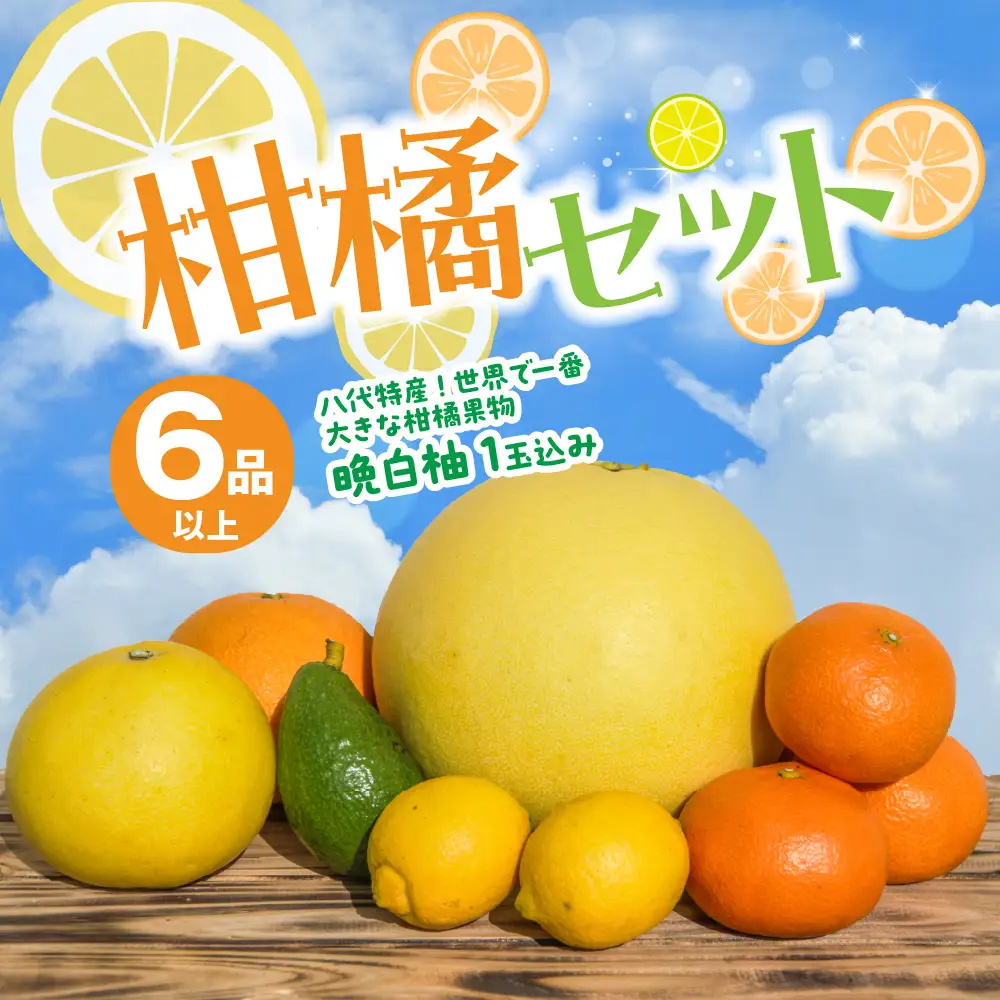【先行予約】 柑橘セット 6品以上(晩白柚1玉込み) ばんぺいゆ 柑橘 【2026年12月上旬より順次発送】