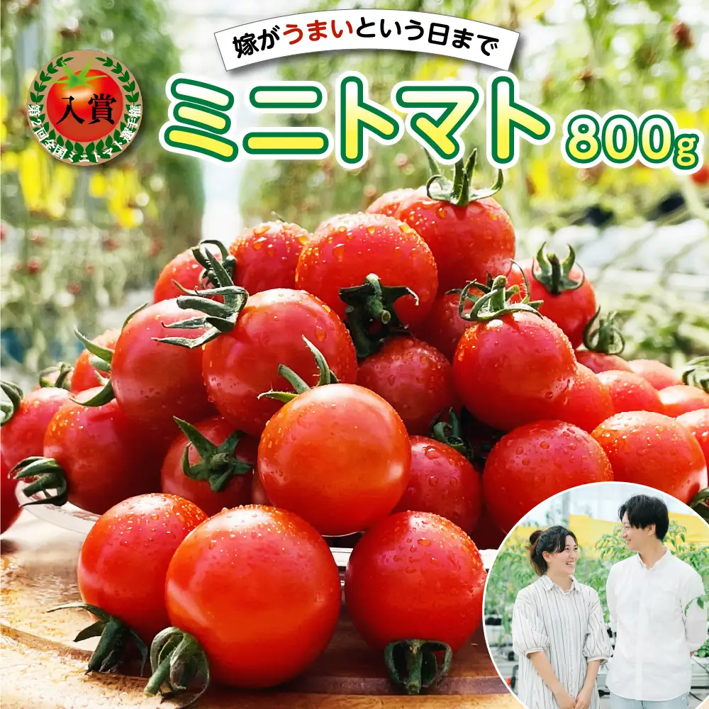 ミニトマト 【先行予約】 嫁がうまいと言う日まで 800g 【2026年12月上旬より順次発送】 ミニトマト