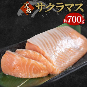天然 サーモン 約700g 鮭 サーモン 骨なし 柵 海鮮 魚貝類 魚介類 手軽 簡単 刺し身 刺身 フライ 漬け丼 カルパッチョ 岩手県 大船渡市