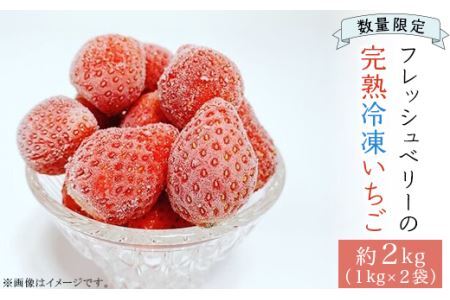 完熟冷凍いちご 約2kg ＜数量限定！！＞ フレッシュベリーの完熟冷凍いちご！大中小サイズ混合約２kg（１kg×２袋）やよいひめ・かおり野・紅ほっぺ・もういっこ ≪イチゴ 苺 ジャム ヨーグルト おやつ≫