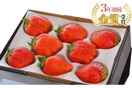 群馬県やよいひめ（いちご）約400g【３年連続金賞受賞！】※2026年12月～2027年5月にて順次発送予定