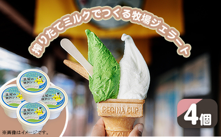 搾りたてミルクでつくるジェラート4個セット（徳山牧場アイス工房）
