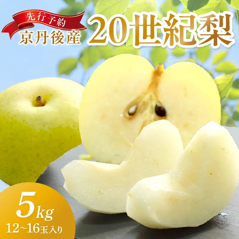 【先行予約】京丹後産 20世紀梨 5kg | 梨（2026年9月上旬～発送）