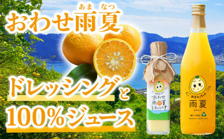 【 限定 100セット 】おわせ の 雨夏 (あまなつ) ドレッシング と 100%ジュース のセット   みかん再生プロジェクト 三重県 尾鷲 甘夏  TK-9