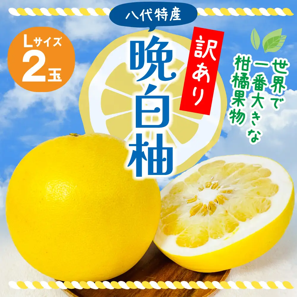【先行予約】 果物 【訳あり】 晩白柚 Lサイズ 2玉 ばんぺいゆ 柑橘 果物 【2026年12月上旬より順次発送】