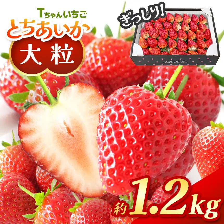 【2027年 先行予約】ぎっしり とちあいか 約1.2kg 大粒(サイズ不揃い)