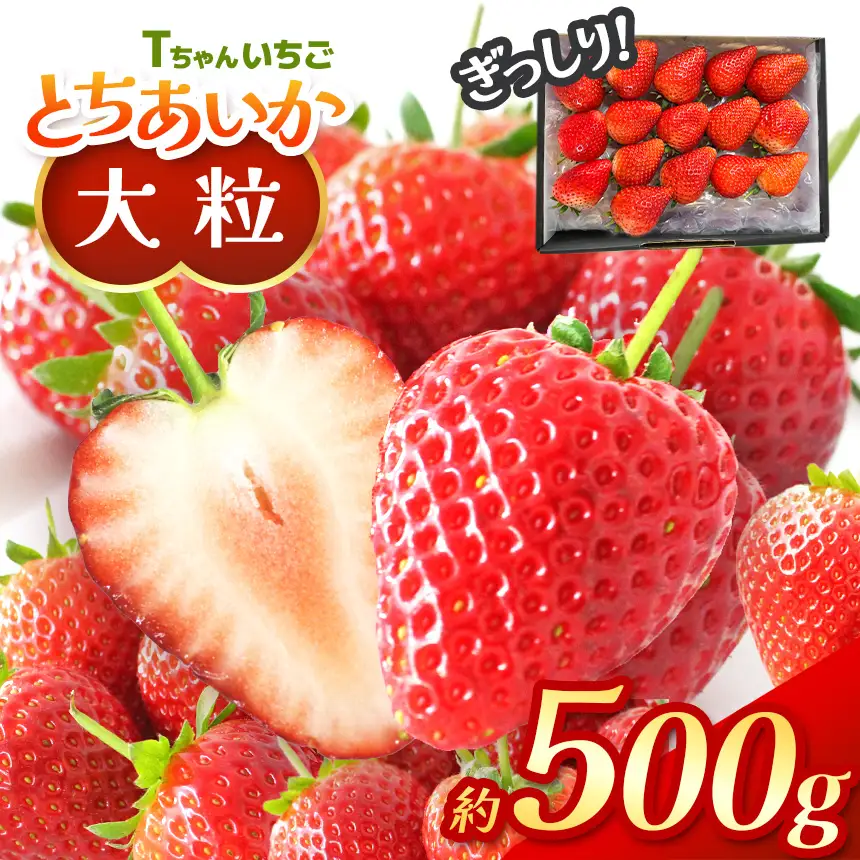 【2027年 先行予約】ぎっしり とちあいか 約500g 大粒(サイズ不揃い)