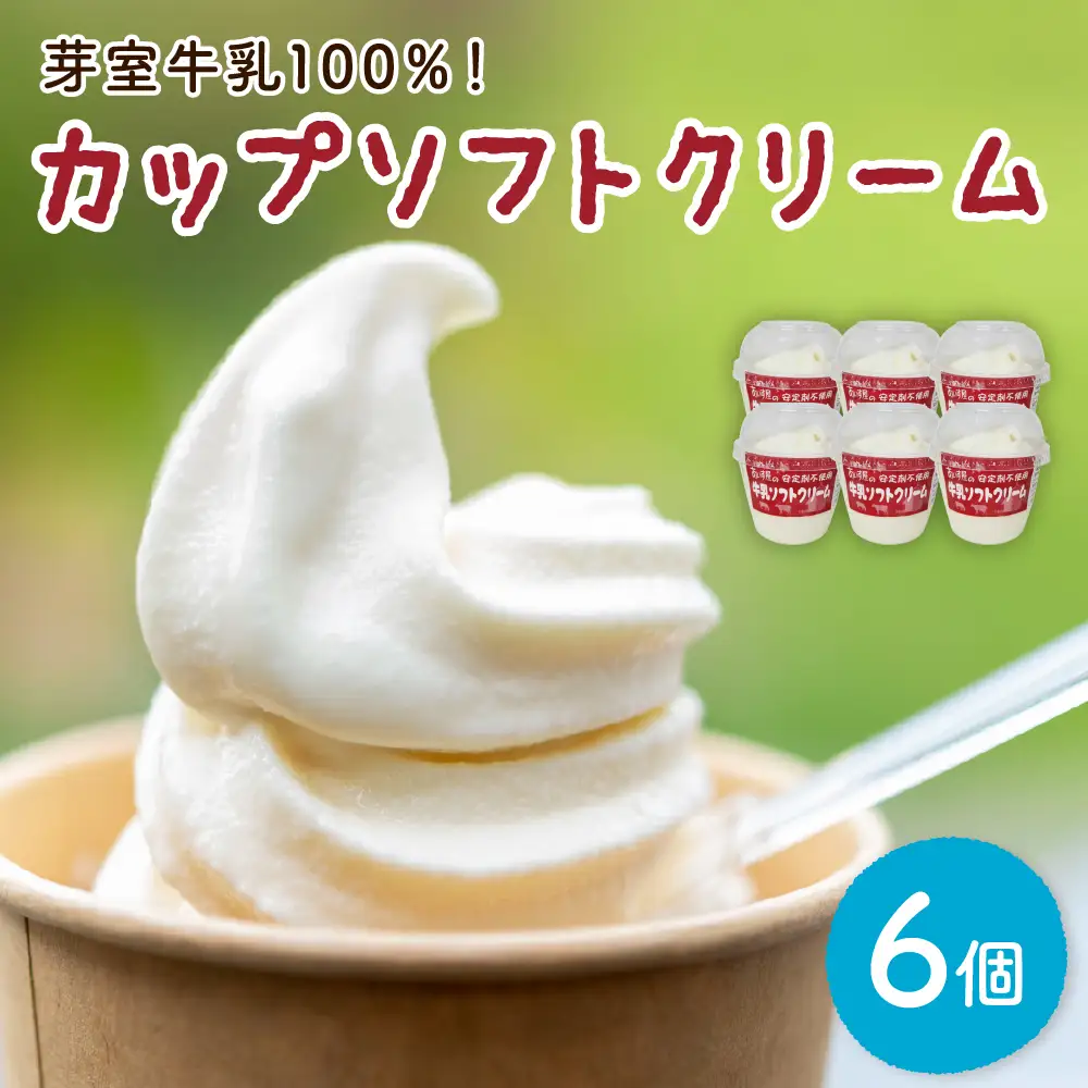  あいす屋さんの 牛乳 ソフトクリーム 6個入り 濃厚 アイス ミルク みるく デザート スイーツ カップ カップアイス カップソフト ソフト 冷凍 贈り物 おやつ ギフト 送料無料 北海道 十勝 芽室町me008-006c