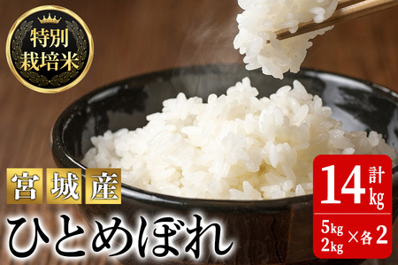 ＜令和5年産＞特別栽培米 ひとめぼれ 合計14kg お米 おこめ 米 コメ 白米 ご飯 ごはん おにぎり お弁当 有機質肥料【JA新みやぎ】ta221