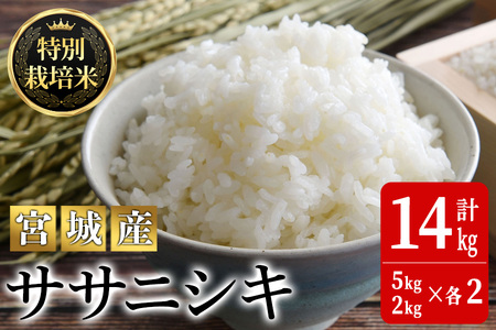 ＜令和5年産＞特別栽培米 ササニシキ 合計14kg お米 おこめ 米 コメ 白米 ご飯 ごはん おにぎり お弁当 有機質肥料【JA新みやぎ】ta222