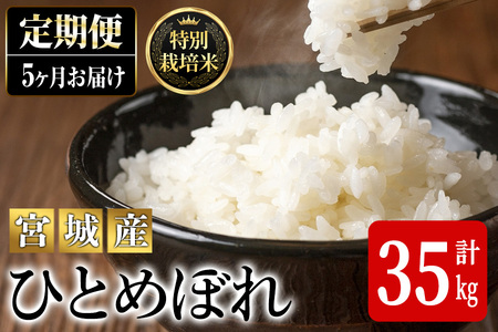 ＜5ヶ月定期便＞特別栽培米 ひとめぼれ 7kg×5回 (全35kg) お米 おこめ 米 コメ 白米 ご飯 ごはん おにぎり お弁当 有機質肥料 頒布会【JA新みやぎ】ta223