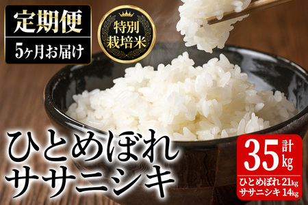 ＜5ヶ月定期便＞特別栽培米 ひとめぼれ・ササニシキ 7kg×5回 (全35kg) お米 おこめ 米 コメ 白米 ご飯 ごはん おにぎり お弁当 有機質肥料 頒布会【JA新みやぎ】ta225