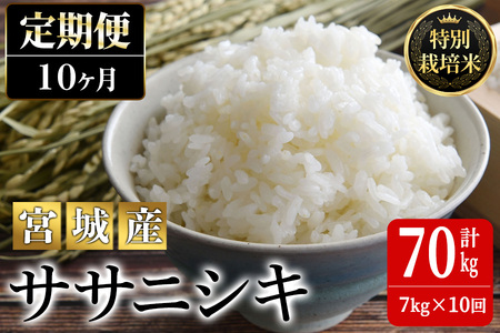 ＜10か月定期便＞特別栽培米 ササニシキ 7kg×10回 (全70kg) お米 おこめ 米 コメ 白米 ご飯 ごはん おにぎり お弁当 有機質肥料 頒布会【JA新みやぎ】ta227