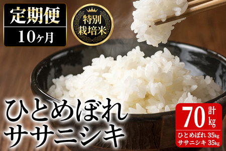 ＜10ヶ月定期便＞特別栽培米 ひとめぼれ・ササニシキ 7kg×10回 (全70kg) お米 おこめ 米 コメ 白米 ご飯 ごはん おにぎり お弁当 有機質肥料 頒布会【JA新みやぎ】ta228