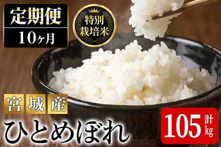 ＜10か月定期便＞特別栽培米 ひとめぼれ 100kg+5kg お米 おこめ 米 コメ 白米 ご飯 ごはん おにぎり お弁当 有機質肥料 頒布会【JA新みやぎ】ta229