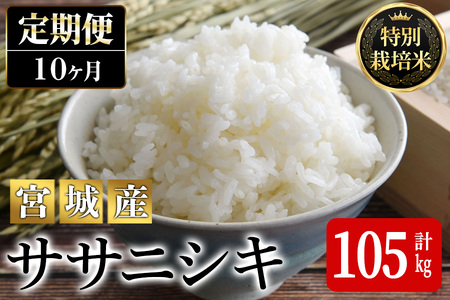 ＜10か月定期便＞特別栽培米 ササニシキ 100kg+5kg お米 おこめ 米 コメ 白米 ご飯 ごはん おにぎり お弁当 有機質肥料 頒布会【JA新みやぎ】ta230