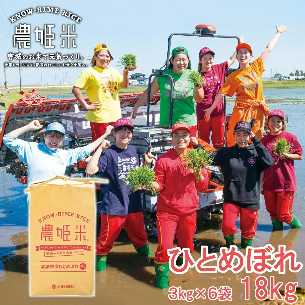 令和4年産農姫米(ひとめぼれ) 3kg×6袋／18kg お米 おこめ 米 コメ 白米 ご飯 ごはん おにぎり お弁当【株式会社五十嵐商会】ta208