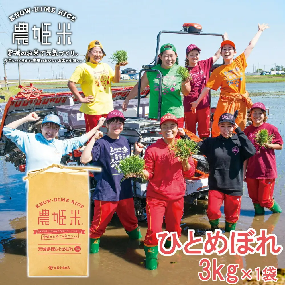 令和4年産農姫米(ひとめぼれ) 3kg×1袋 お米 おこめ 米 コメ 白米 ご飯 ごはん おにぎり お弁当【株式会社五十嵐商会】ta213